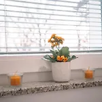 Zelena Harmonija Holiday home